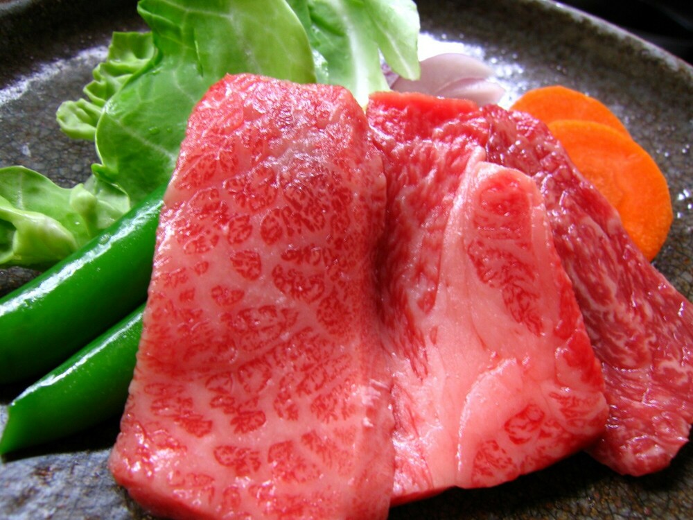 お手軽【1泊2食/陶板焼プラン・一人旅】「鳥取和牛」に舌鼓♪　広めのお部屋！ビジネスにもお勧め！