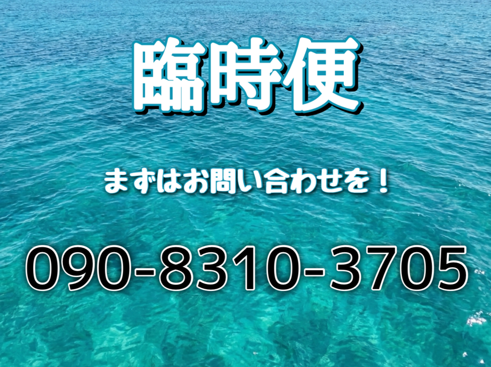 Special Tour: Blue Grotto Guided Tour [Guided Tour]