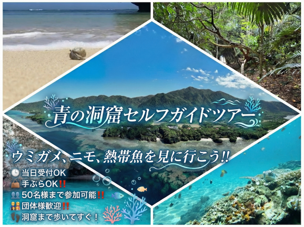 藍洞自助遊【國家遊客計畫】⭐ 官網獨家價！