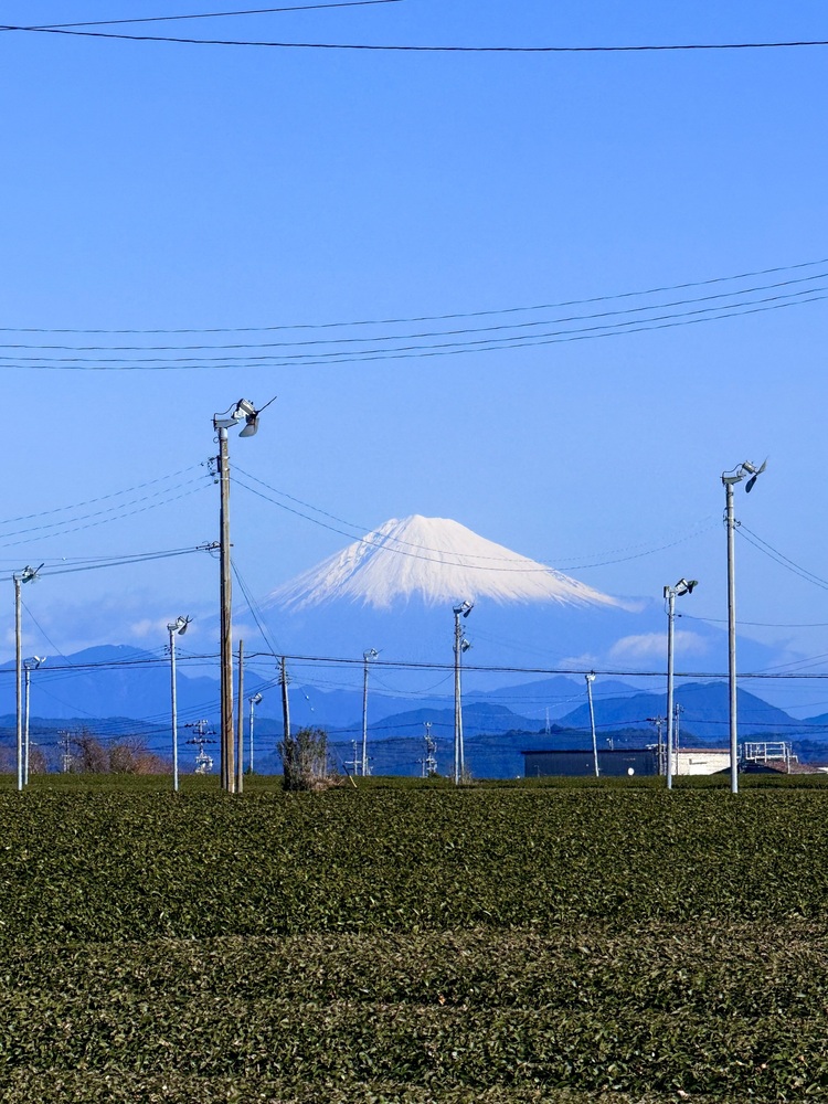 少人数大人旅やお子様連れに人気！小学生以下半額！素泊まりプラン