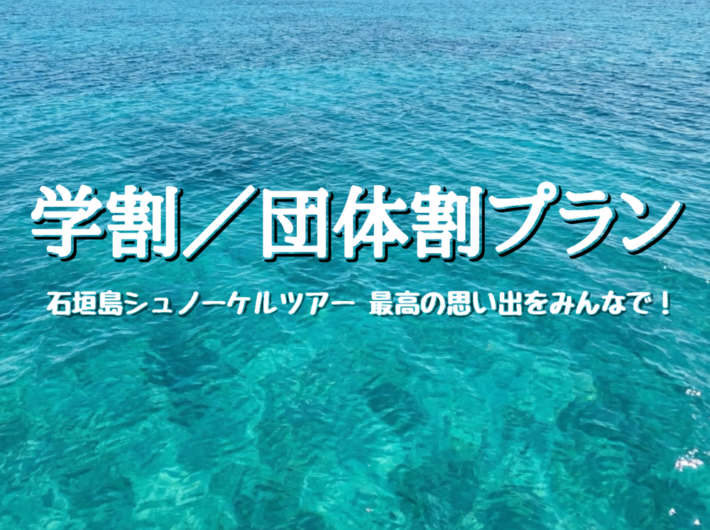 [Student/Group Discounts Available Here] Blue Grotto Tour [Guided Tour] 9:00am / 1:00pm