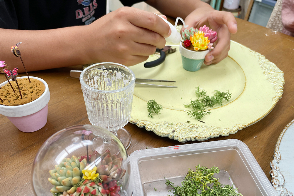 【日帰り｜体験】選んで挿すだけ！粘土多肉寄せ植え体験【10:00開始】