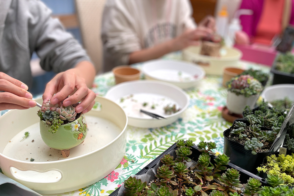 【日帰り｜体験】多肉植物寄せ植え講習会【14:00開始】