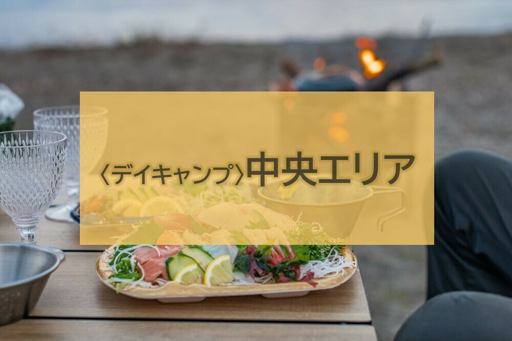 〈デイキャンプ・日帰りBBQ〉中央エリア(8m×9m)