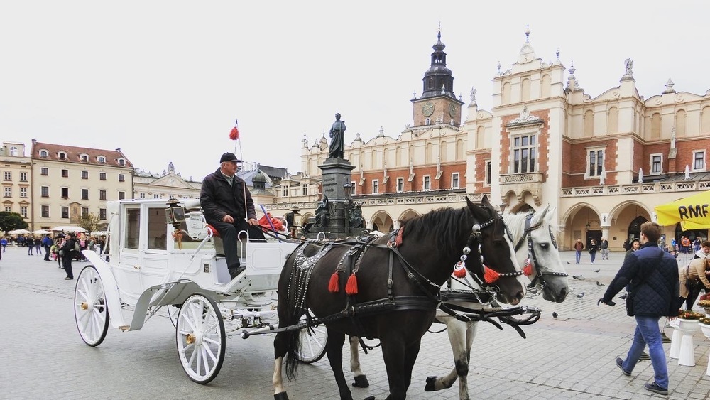 旅行記|ショパンの音楽を巡る旅?ポーランド周遊