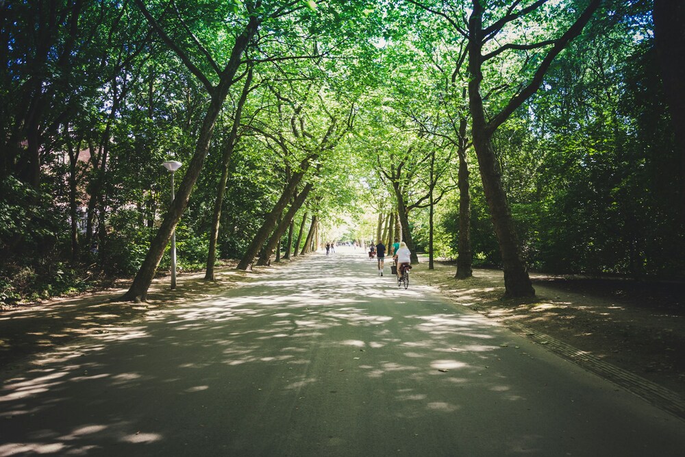 フォンデル公園